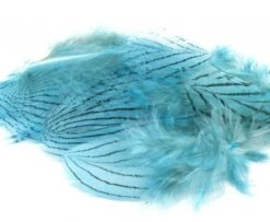 Nature's Spirit Silver Pheasant Body Feathers (Discontinued) - Funky Fly Tying -Fly Fishing Supplies Store Natures Spirit Silver Pheasant Body Feathers Discontinued Silver Doctor Blue 1