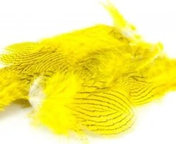 Nature's Spirit Silver Pheasant Body Feathers (Discontinued) - Funky Fly Tying -Fly Fishing Supplies Store Natures Spirit Silver Pheasant Body Feathers Discontinued yellow 1