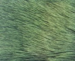 Nature's Spirit Spinning Cow Elk - Funky Fly Tying 30 Nature's Spirit Spinning Cow Elk - Funky Fly Tying -Fly Fishing Supplies Store Natures Spirit Spinning Cow Elk Frog Green