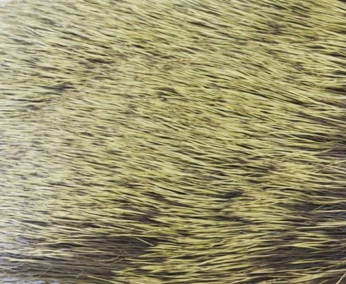 Nature's Spirit Spinning Cow Elk - Funky Fly Tying 6 Nature's Spirit Spinning Cow Elk - Funky Fly Tying - Image 6