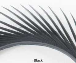 Nature's Spirit Stripped Goose Biots - Funky Fly Tying 33 Nature's Spirit Stripped Goose Biots - Funky Fly Tying -Fly Fishing Supplies Store Natures Spirit Stripped Goose Biots Black 1