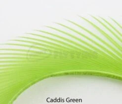 Nature's Spirit Stripped Goose Biots - Funky Fly Tying 25 Nature's Spirit Stripped Goose Biots - Funky Fly Tying -Fly Fishing Supplies Store Natures Spirit Stripped Goose Biots Caddis Green 1