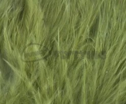 Nature's Spirit Strung Blood Marabou 1/4oz (Discontinued) - Funky Fly Tying -Fly Fishing Supplies Store Natures Spirit Strung Blood Marabou 1 4oz Discontinued Olive 1