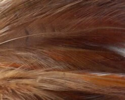 Nature's Spirit Strung Neck Hackle - Funky Fly Tying -Fly Fishing Supplies Store Natures Spirit Strung Neck Hackle Brown 1