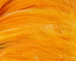 Nature's Spirit Strung Neck Hackle - Funky Fly Tying -Fly Fishing Supplies Store Natures Spirit Strung Neck Hackle Fl Sunburst