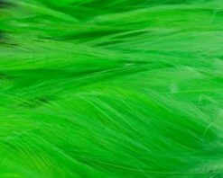 Nature's Spirit Strung Neck Hackle - Funky Fly Tying -Fly Fishing Supplies Store Natures Spirit Strung Neck Hackle Fluo Chartereuse