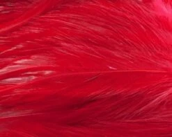 Nature's Spirit Strung Neck Hackle - Funky Fly Tying -Fly Fishing Supplies Store Natures Spirit Strung Neck Hackle Red 1