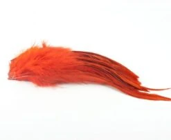 Nature's Spirit Strung Schlappen XL 7-9" - Funky Fly Tying -Fly Fishing Supplies Store Natures Spirit Strung Schlappen XL 7 9 Crowdad Orange 1