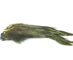 Nature's Spirit Strung Schlappen XL 7-9" - Funky Fly Tying -Fly Fishing Supplies Store Natures Spirit Strung Schlappen XL 7 9 Dark Olive 1