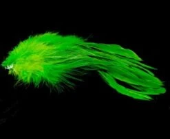 Nature's Spirit Strung Schlappen XL 7-9" - Funky Fly Tying -Fly Fishing Supplies Store Natures Spirit Strung Schlappen XL 7 9 Lime