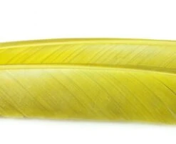 Nature's Spirit Turkey Biot Quills - Funky Fly Tying -Fly Fishing Supplies Store Natures Spirit Turkey Biot Quills Olive