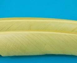 Nature's Spirit Turkey Biot Quills - Funky Fly Tying -Fly Fishing Supplies Store Natures Spirit Turkey Biot Quills Pale Morning Dun