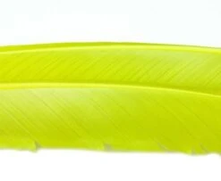 Nature's Spirit Turkey Biot Quills - Funky Fly Tying -Fly Fishing Supplies Store Natures Spirit Turkey Biot Quills Pale Olive