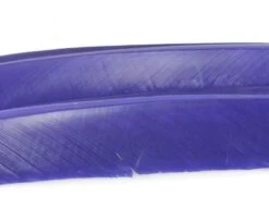 Nature's Spirit Turkey Biot Quills - Funky Fly Tying -Fly Fishing Supplies Store Natures Spirit Turkey Biot Quills Purple