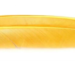 Nature's Spirit Turkey Biot Quills - Funky Fly Tying -Fly Fishing Supplies Store Natures Spirit Turkey Biot Quills Tannish Yellow 1