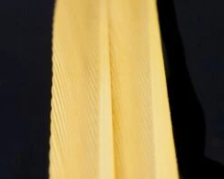 Nature's Spirit Turkey Biot Strips - Funky Fly Tying -Fly Fishing Supplies Store Natures Spirit Turkey Biot Strips Tannish Yellow