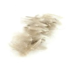 Polish Quills CDC - Funky Fly Tying -Fly Fishing Supplies Store Polish Quills CDC Natural 1