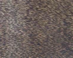 Polish Quills Winter Roe Deer - Funky Fly Tying -Fly Fishing Supplies Store Polish Quills Winter Roe Deer Brown 1