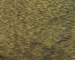 Polish Quills Winter Roe Deer - Funky Fly Tying -Fly Fishing Supplies Store Polish Quills Winter Roe Deer Dark Olive 1