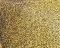 Polish Quills Winter Roe Deer - Funky Fly Tying -Fly Fishing Supplies Store Polish Quills Winter Roe Deer Golden Olive 1