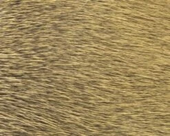 Polish Quills Winter Roe Deer - Funky Fly Tying -Fly Fishing Supplies Store Polish Quills Winter Roe Deer Light Olive