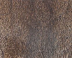 Polish Quills Winter Roe Deer - Funky Fly Tying -Fly Fishing Supplies Store Polish Quills Winter Roe Deer Rusty Brown 1