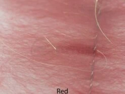 Veniard Pike Brushes - Funky Fly Tying -Fly Fishing Supplies Store Veniard Pike Brushes Red 1