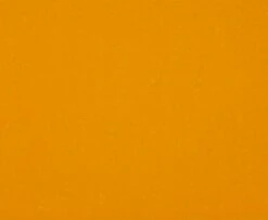 Virtual Nymph Flexi Body - Funky Fly Tying 24 Virtual Nymph Flexi Body - Funky Fly Tying -Fly Fishing Supplies Store Virtual Nymph Flexi Body Golden Stonefly