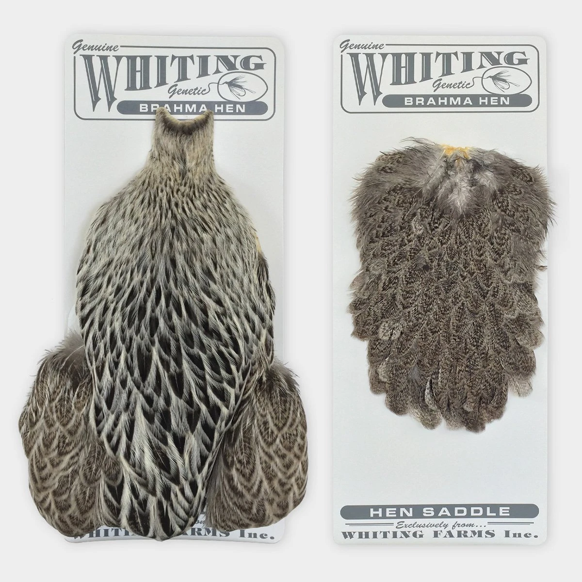 Whiting Brahma Hen Cape - Funky Fly Tying 2 Whiting Brahma Hen Cape - Funky Fly Tying - Image 2