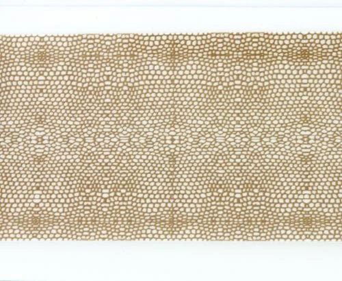 Wapsi Thin Skin Gator Pattern - Funky Fly Tying 4 Wapsi Thin Skin Gator Pattern - Funky Fly Tying - Image 4