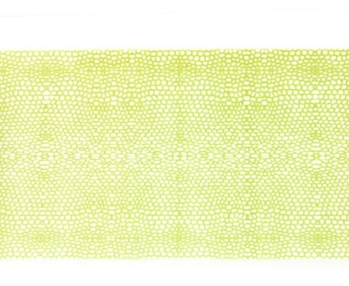 Wapsi Thin Skin Gator Pattern - Funky Fly Tying 14 Wapsi Thin Skin Gator Pattern - Funky Fly Tying - Image 14