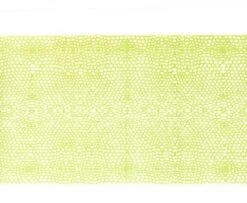 Wapsi Thin Skin Gator Pattern - Funky Fly Tying 26 Wapsi Thin Skin Gator Pattern - Funky Fly Tying -Fly Fishing Supplies Store Wapsi Thin Skin Gator Pattern Olive Clear