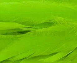 Whiting 1/4oz Loose Pack Of Schlappen - Funky Fly Tying -Fly Fishing Supplies Store Whiting 1 4oz Loose Pack of Schlappen Dyed FL. Green Chartreuse 1