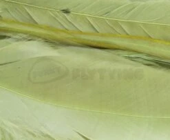 Whiting 1/4oz Loose Pack Of Schlappen - Funky Fly Tying -Fly Fishing Supplies Store Whiting 1 4oz Loose Pack of Schlappen Dyed Olive 1 1