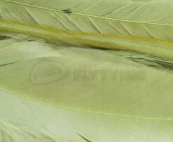 Whiting 1/4oz Loose Pack Of Schlappen - Funky Fly Tying -Fly Fishing Supplies Store Whiting 1 4oz Loose Pack of Schlappen Dyed Olive 1