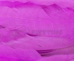 Whiting 1/4oz Loose Pack Of Schlappen - Funky Fly Tying -Fly Fishing Supplies Store Whiting 1 4oz Loose Pack of Schlappen Dyed Pink 1