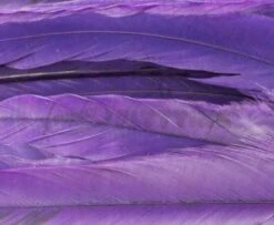 Whiting 1/4oz Loose Pack Of Schlappen - Funky Fly Tying -Fly Fishing Supplies Store Whiting 1 4oz Loose Pack of Schlappen Dyed Purple 1 1