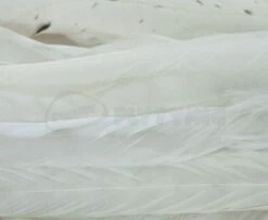 Whiting 1/4oz Loose Pack Of Schlappen - Funky Fly Tying -Fly Fishing Supplies Store Whiting 1 4oz Loose Pack of Schlappen White 1 1