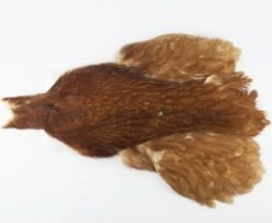 Whiting 4 B's Hen Cape - Funky Fly Tying -Fly Fishing Supplies Store Whiting 4B Hen Neck Capes Brown 1