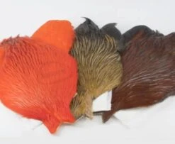 Whiting 4 B's Rooster Cape - Funky Fly Tying