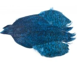 Whiting 4 B's Rooster Cape - Funky Fly Tying -Fly Fishing Supplies Store Whiting 4B Rooster Neck Cape Dyed Grizzly Kingfisher Blue 1