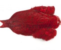Whiting 4 B's Rooster Cape - Funky Fly Tying -Fly Fishing Supplies Store Whiting 4B Rooster Neck Cape Dyed Grizzly Red 1 1