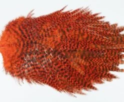 Whiting 4 B's Rooster Saddle - Funky Fly Tying -Fly Fishing Supplies Store Whiting 4B Rooster Saddle Capes Dyed Grizzly Orange