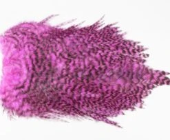 Whiting 4 B's Rooster Saddle - Funky Fly Tying -Fly Fishing Supplies Store Whiting 4B Rooster Saddle Capes Dyed Grizzly Pink 1