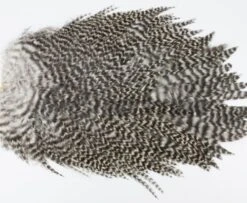 Whiting 4 B's Rooster Saddle - Funky Fly Tying -Fly Fishing Supplies Store Whiting 4B Rooster Saddle Capes Grizzle