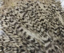 Whiting American Streamer Packs - Funky Fly Tying -Fly Fishing Supplies Store Whiting American Streamer Packs 10 1 1