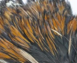 Whiting American Streamer Packs - Funky Fly Tying -Fly Fishing Supplies Store Whiting American Streamer Packs 2 1