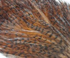 Whiting American Streamer Packs - Funky Fly Tying -Fly Fishing Supplies Store Whiting American Streamer Packs 3 1