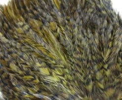 Whiting American Streamer Packs - Funky Fly Tying -Fly Fishing Supplies Store Whiting American Streamer Packs 4 1 1