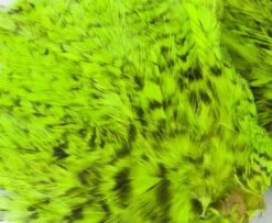 Whiting American Streamer Packs - Funky Fly Tying -Fly Fishing Supplies Store Whiting American Streamer Packs 5 1 1